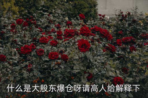 大股東爆倉(cāng)什么意思，什么是大股東爆倉(cāng)呀請(qǐng)高人給解釋下