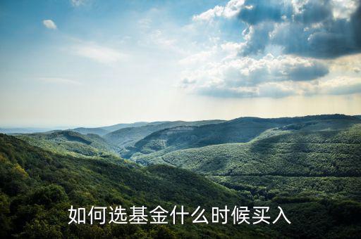 一只基金什么點(diǎn)買入好，我想買點(diǎn)基金哪一種比較好