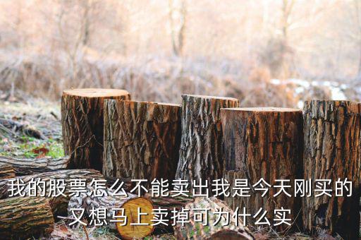 我的股票怎么不能賣(mài)出我是今天剛買(mǎi)的又想馬上賣(mài)掉可為什么實(shí)