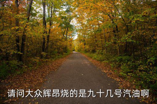 什么車燒90號汽油，請問大眾輝昂燒的是九十幾號汽油啊