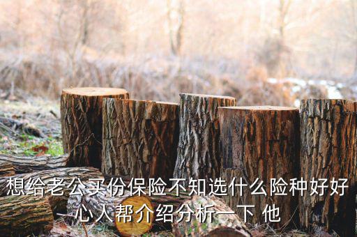 夫妻買什么保險(xiǎn)好，想給老公買份保險(xiǎn)不知選什么險(xiǎn)種好好心人幫介紹分析一下 他