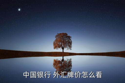 外匯怎么看,中國(guó)銀行點(diǎn)擊首頁查詢結(jié)售匯按照提示進(jìn)行買賣