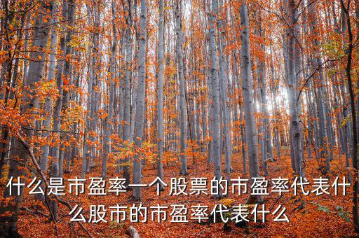平均市盈率說(shuō)明什么，什么是市盈率一個(gè)股票的市盈率代表什么股市的市盈率代表什么
