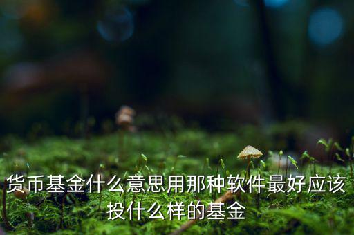 貨幣基金t什么意思，貨幣基金贖回時(shí)間T3是什么意思