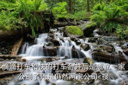 滴滴快的合并后叫什么，滴滴打車和快的打車合并后是成立一家公司了還是仍然兩家公司  搜