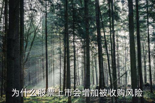 為什么股票上市會(huì)增加被收購風(fēng)險(xiǎn)