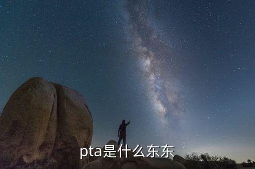 pta行業(yè)是什么，pta是什么東東