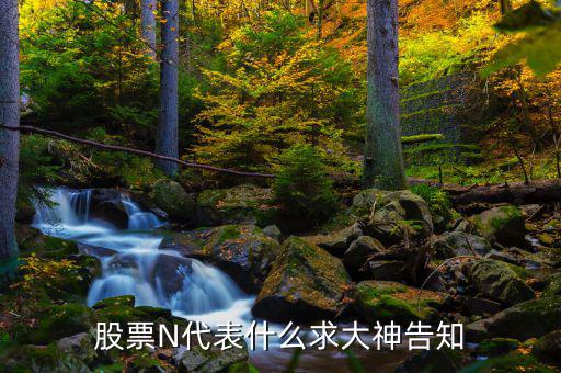 股市中n是什么意思，一些股票中前面的N是什么意思