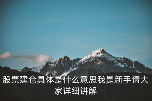 股票建倉具體是什么意思我是新手請(qǐng)大家詳細(xì)講解