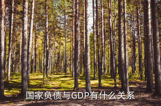 國家負(fù)債是什么，國債是什么比如說中國有美國的國債100億是否可以理解為美國欠中