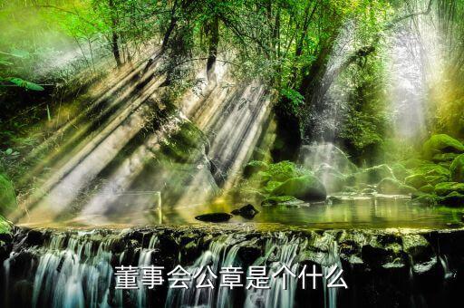 什么是董事會(huì)印章，完美國際魔方董事會(huì)印章有什么用