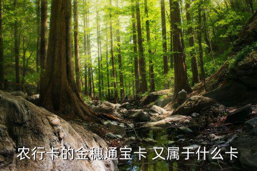 農(nóng)行叫號(hào)Q字頭是什么卡，農(nóng)行卡叫什么卡