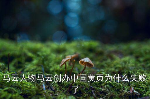 馬云人物馬云創(chuàng)辦中國(guó)黃頁為什么失敗了