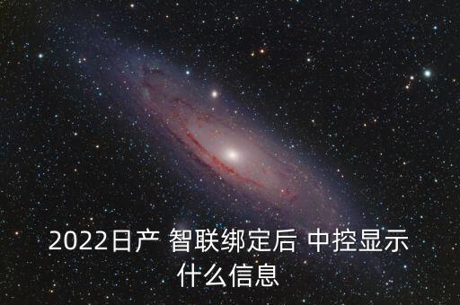 2022日產 智聯(lián)綁定后 中控顯示什么信息