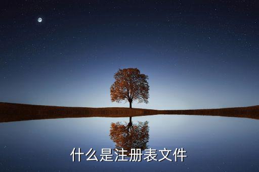 什么是注冊(cè)制，化妝品注冊(cè)是什么