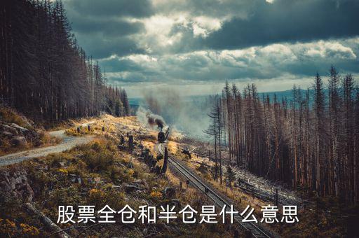 股票全倉(cāng)是什么意思，股票全倉(cāng)和半倉(cāng)是什么意思