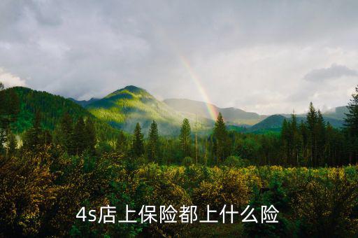 4s店買車都保什么險，誰能告訴我在4s店買的四大險都包括哪些