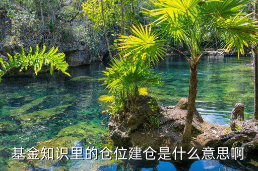 基金建倉什么意思，建倉是什么意思