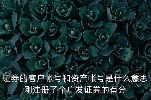 申萬宏源資產(chǎn)賬號是什么，我知道瀘A股東的賬號怎么查資金賬號申萬宏源