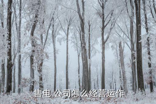 怎么成立售電公司,售電公司申請(qǐng)?jiān)O(shè)立登記須滿(mǎn)足以下條件】