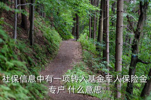 什么是社保轉(zhuǎn)入基金，請(qǐng)問一下社保綜合中轉(zhuǎn)入基金是什么呢不明白里面的基金是怎么回事