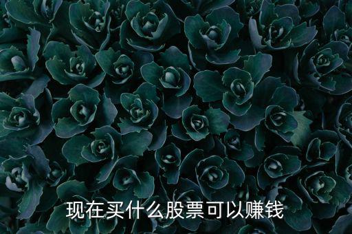 今年買什么股票可以賺錢，現(xiàn)在買什么股票可以賺錢