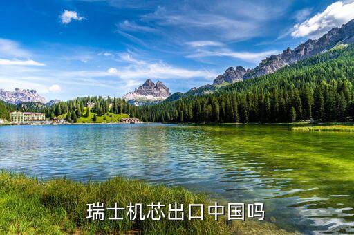 瑞士以什么出口為主，瑞士主要運(yùn)輸方式是什么