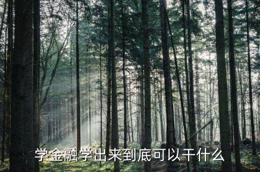 金融專業(yè)能干什么，金融專業(yè)可以做什么工作