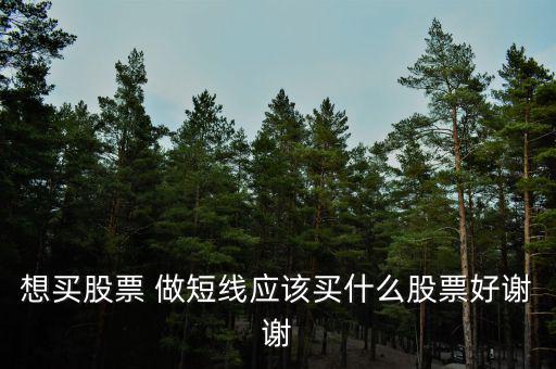 短線買什么股票好，散戶短線買哪些股票好