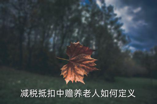 什么是減稅養(yǎng)老，減稅抵扣中贍養(yǎng)老人如何定義