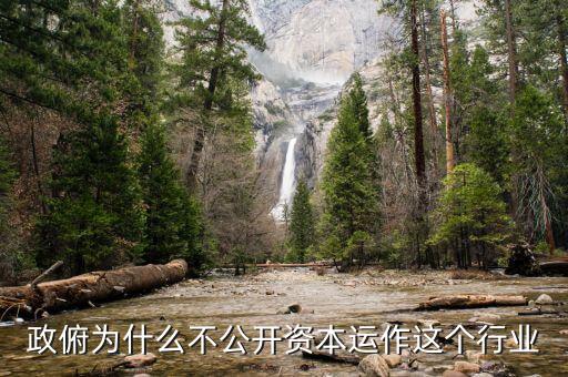 資本運作為什么不公開，政俯為什么不公開資本運作這個行業(yè)