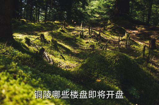銅陵未來有什么大項目，未來銅陵會有六條鐵路嗎