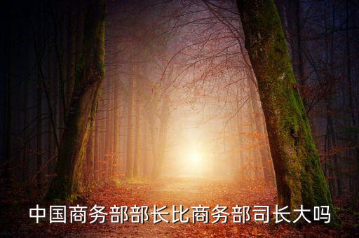 商務部部長什么級別，商務部部長多大的官