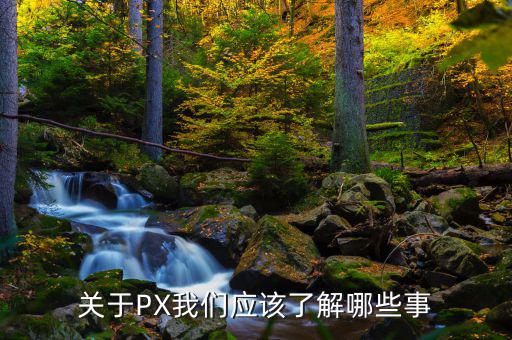 px項目是干什么的，關(guān)于PX我們應(yīng)該了解哪些事