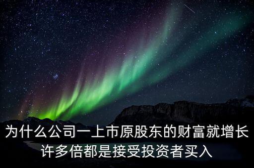 財富公司為什么這么多，為什么公司一上市原股東的財富就增長許多倍都是接受投資者買入