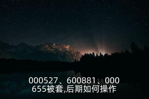 000527、600881、000655被套,后期如何操作