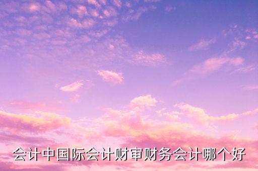 會計中國際會計財審財務會計哪個好