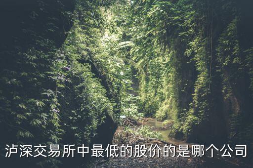 瀘a最便宜的股是什么股，A股最便宜的股票是什么股