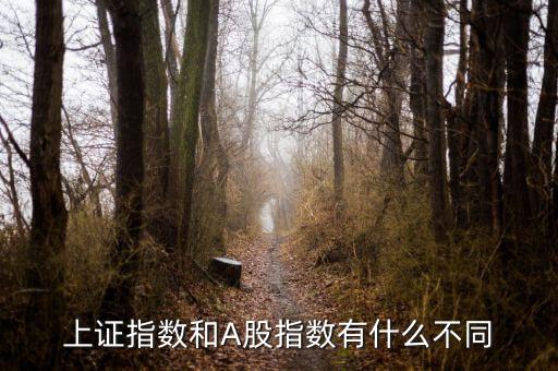上證指數(shù)和A股什么區(qū)別，上證指數(shù)和A股指數(shù)有什么不同