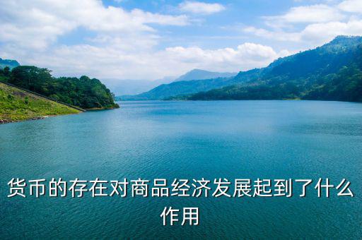 世界貨幣中心起到什么作用，貨幣的存在對商品經(jīng)濟發(fā)展起到了什么作用