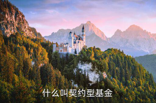 什么是合同型基金，什么叫契約型基金