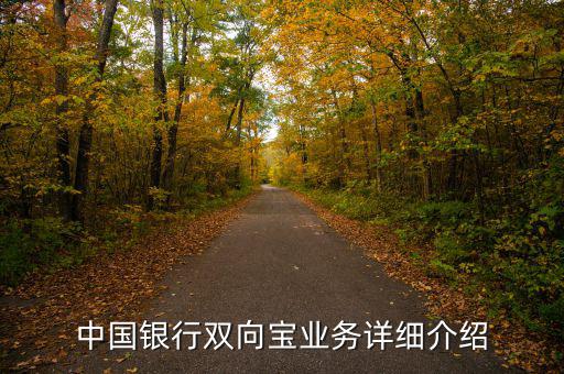 中行雙向?qū)毷鞘裁?，中國銀行雙向?qū)殬I(yè)務(wù)詳細介紹