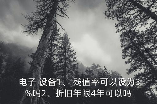  電子 設(shè)備1、 殘值率可以設(shè)為3%嗎2、折舊年限4年可以嗎
