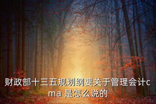 財(cái)政部對什么有具體規(guī)劃，財(cái)政部每年的具體招人計(jì)劃是怎么制定的或者那些公務(wù)員的職