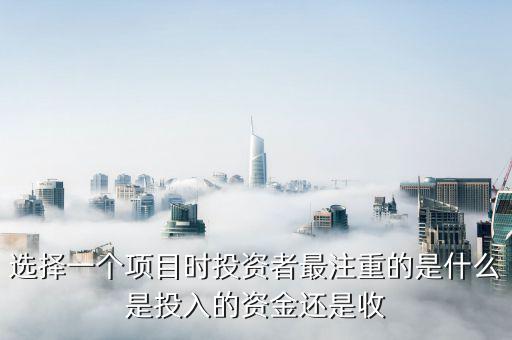 投資人最看重什么投資收益，投資者最看重的是什么呢