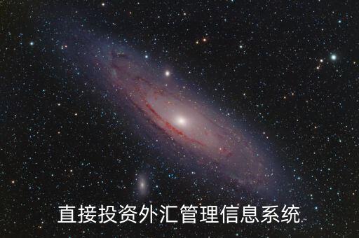 外資上什么傳到外管局應(yīng)用平臺，直接投資外匯管理信息系統(tǒng)