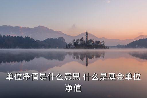 單位凈值什么意思，單位凈值是什么意思