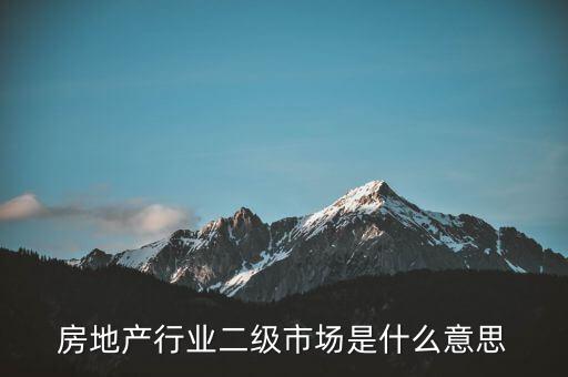 什么是二級行業(yè)，會計中所說的一級二級市場是指什么