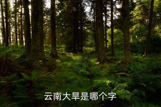 云南大旱是個(gè)什么字，云南大旱是哪個(gè)字
