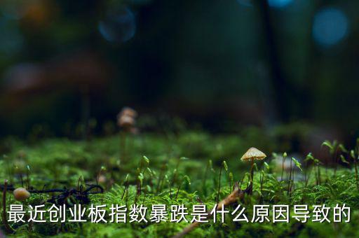2014創(chuàng)業(yè)板指數(shù)為什么會下跌，為什么股指大幅下跌2014
